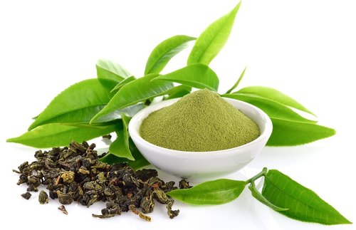 Brew a Better Body: How Green Tea Extract Can Aid Weight Loss