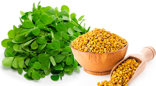 Fenugreek Extract: A Natural Remedy for Digestive Health